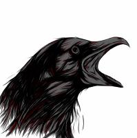 Vincent Craß avatar