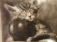 Natalia Sattarova avatar