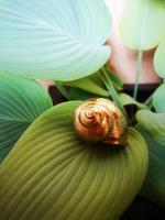 theartsyshell avatar