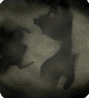 David Nubaryan avatar