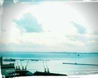 PATRICIA Ihara avatar