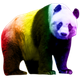 Wonder Pride