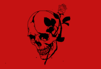 Denis Spahija avatar