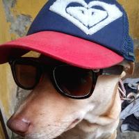 Christian Borres avatar