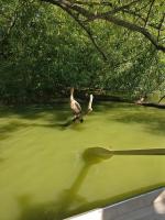 Guillaume Vadnais avatar