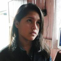 Richard Pariona Q. avatar