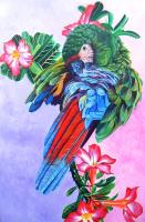 Depiction Paintings avatar