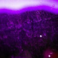 Brendan Jones avatar