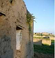 Kolan