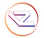 Vized