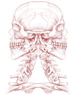 Weronika Wioletta avatar