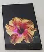 Raja Rajeswari Ethirajan