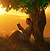 Stunning Wallpapers