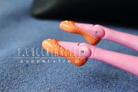 Francesca Cucchiarelli avatar