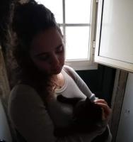 Madalena Silva avatar