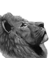 Chloé Desbiolles avatar