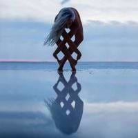 Hussein Nasrallah avatar