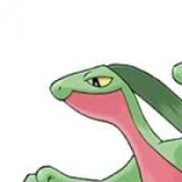 Wouter Haitsma avatar