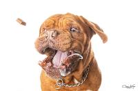 Craig Loechel avatar