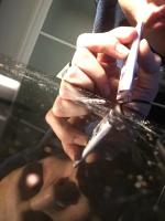 Matt W Hollander avatar