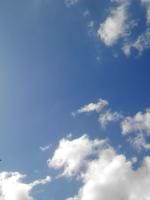 SASHEL BECKFORD avatar