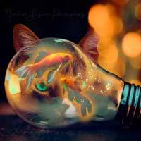 Natalie Sayers avatar