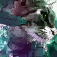 Boby & Co Ilea avatar