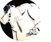 Pilar Reynolds avatar