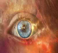 Nicky Vercauteren avatar