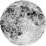 Moon Calendar Studio