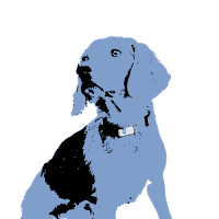 Isaac shutterman avatar