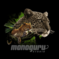 Monoguru avatar