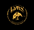 Lynx Art Collection
