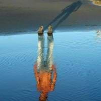 PaulSkin Nickson avatar