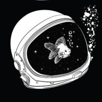 Clement Davis avatar