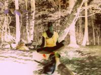 Strezoska Strez avatar