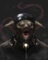 Lautaro Rubiano avatar