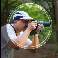 Robbie Ross Photographer avatar