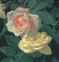 PublicDomainTreasures avatar