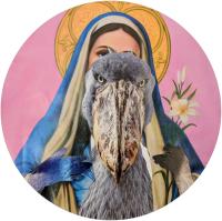 Marcelo de Castro Pin avatar