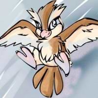 Pieter Jan Moreels avatar