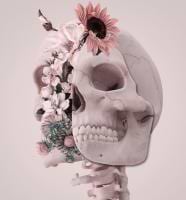 Balázs Csiki avatar