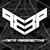 Meta.Perspective avatar