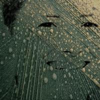 3Eyedhumanoid avatar