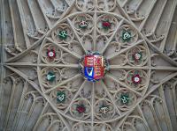 Matteo Franzi avatar