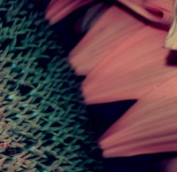 Phoenix Art Artist avatar