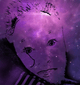 Jerri Scxfield