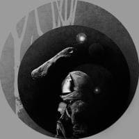 Daria Zhernakova avatar