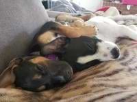 Jennifer Thurn avatar