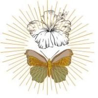 Imaginative JEBARI avatar